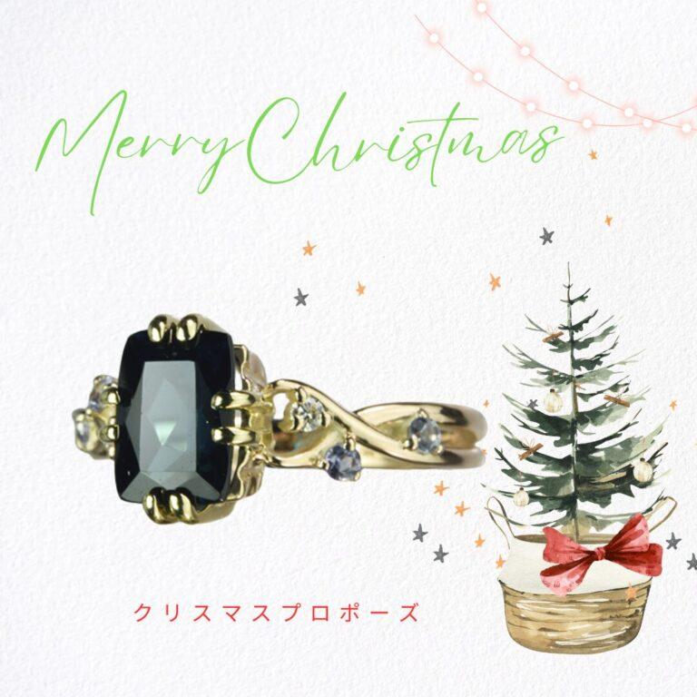 クリスマスプロポーズ
誕生石 オーダーリング